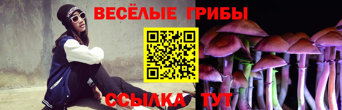Псилоцибиновые грибы Psilocybine cubensis Щёлково